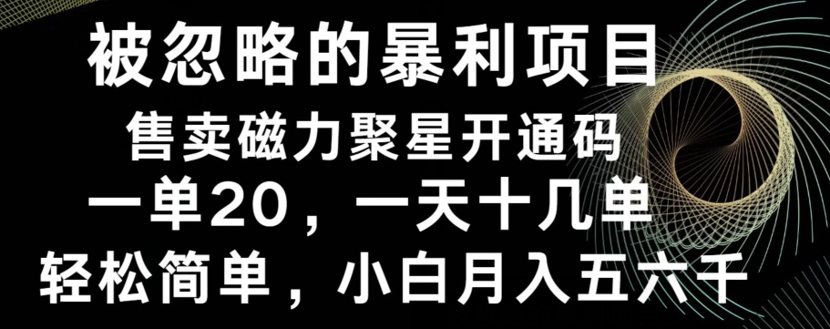 被忽略的暴利项目！售卖磁力聚星开通码，一单20，一天十几单，轻松月入五六千-鑫梵淘