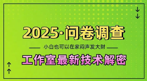 2025问卷调查最新工作室技术解密：一个人在家也可以闷声发大财，小白一天2张，可矩阵放大【揭秘】-鑫梵淘