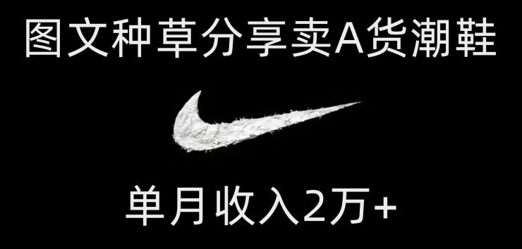 靠图文种草分享卖A货潮鞋，每天一小时，单月收入2万+【揭秘】-鑫梵淘