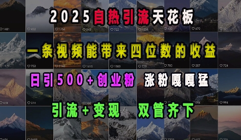 2025自热引流天花板，一条视频能带来四位数的收益，引流+变现双管齐下，日引500+创业粉，涨粉嘎嘎猛-鑫梵淘