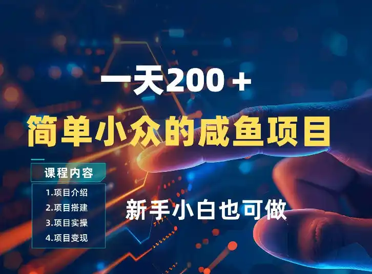 一天收入2张，一个简单小众的咸鱼项目，0门槛小白也能做-鑫梵淘