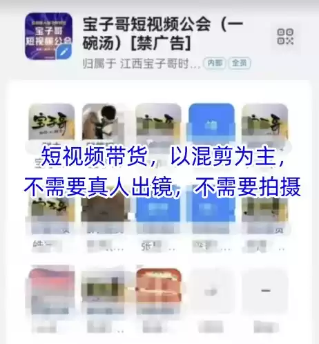宝子哥头部团队短视频带货，以混剪为主，不需要真人出镜，不需要拍摄【更新26年1月】-鑫梵淘