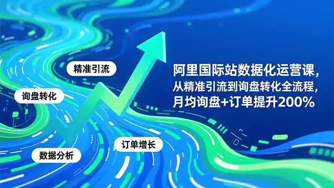 阿里国际站数据化运营课-11月，从精准引流到询盘转化全流程，月均询盘+订单提升200%-鑫梵淘