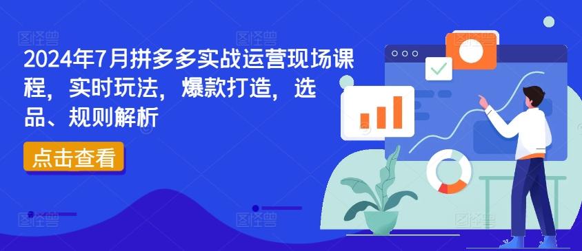 2024年7月拼多多实战运营现场课程，实时玩法，爆款打造，选品、规则解析-鑫梵淘