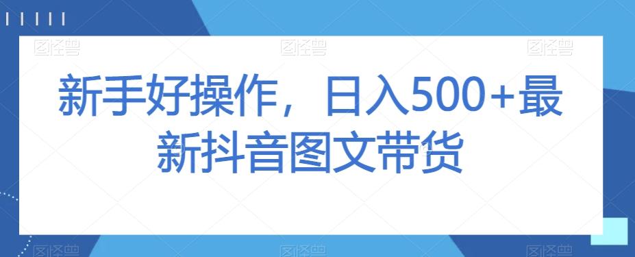 新手好操作，日入500+最新抖音图文带货【揭秘】-鑫梵淘