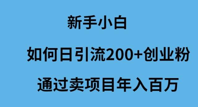 (9668期)新手小白如何日引流200+创业粉通过卖项目年入百万-鑫梵淘