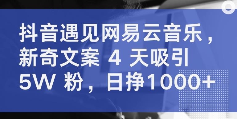 抖音遇见网易云音乐，新奇文案 4 天吸引 5W 粉，日挣1000+【揭秘】-鑫梵淘