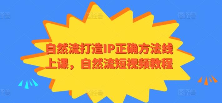 自然流打造IP正确方法线上课，自然流短视频教程-鑫梵淘