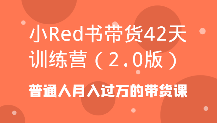 小Red书带货42天训练营(2.0版)普通人月入过万的带货课-鑫梵淘