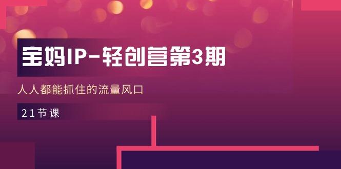 宝妈IP-轻创营第3期，人人都能抓住的流量风口(21节课-鑫梵淘