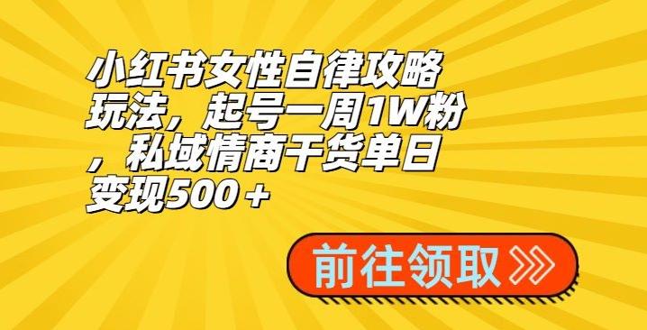 小红书女性自律攻略玩法，起号一周1W粉，私域情商干货单日变现500＋-鑫梵淘