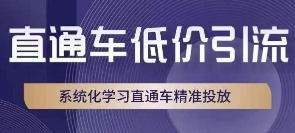 直通车低价引流课，系统化学习直通车精准投放-鑫梵淘