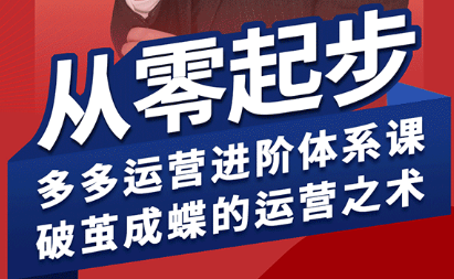 海神·拼多多运营进阶系统课(更新8月)-鑫梵淘