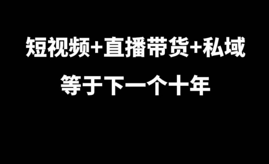 短视频+直播带货+私域等于下一个十年，大佬7年实战经验总结-鑫梵淘