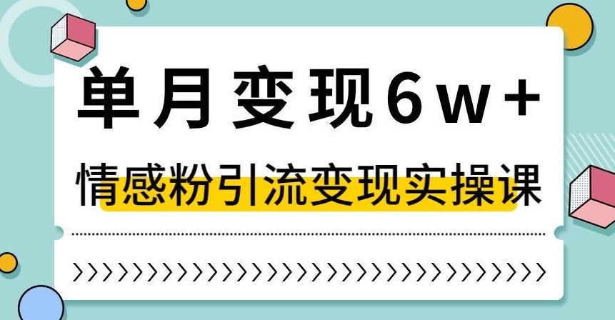 单月变现6W+，抖音情感粉引流变现实操课，小白可做，轻松上手，独家赛道【揭秘】-鑫梵淘
