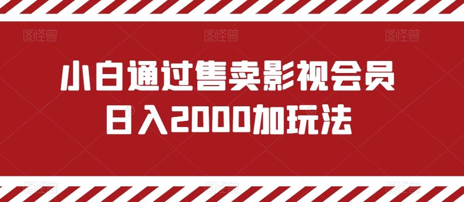 小白通过售卖影视会员日入2000加玩法-鑫梵淘