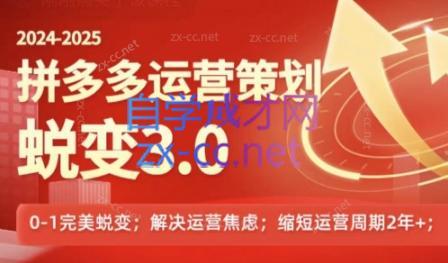 大力老师·2024拼多多运营策略蜕变3.0-鑫梵淘