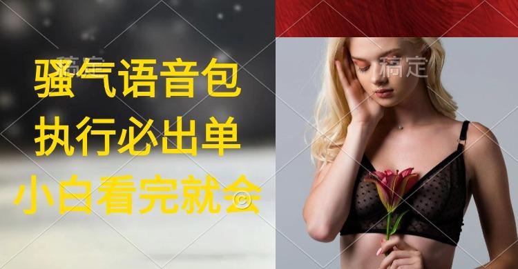 (9589期)执行就出单，日入2000+，超火骚气语音包，小白看完课程就能马上实操-鑫梵淘