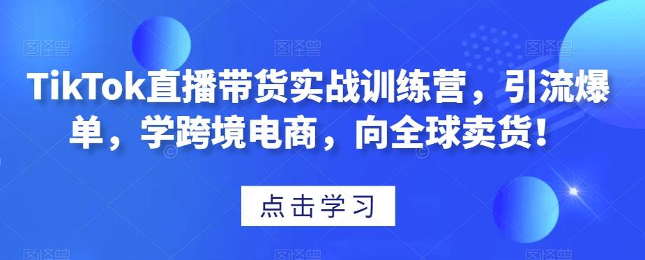 TikTok直播带货实战训练营，引流爆单，学跨境电商，向全球卖货！-鑫梵淘