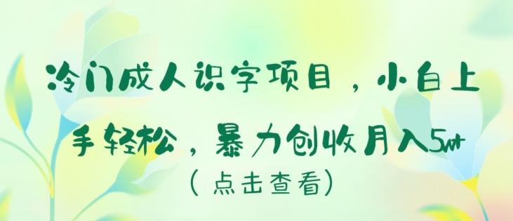 冷门成人识字项目，小白上手轻松，暴力创收月入5w+【揭秘】-鑫梵淘