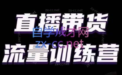 婉婉·直播带货课程系列合集(更新8月)-鑫梵淘