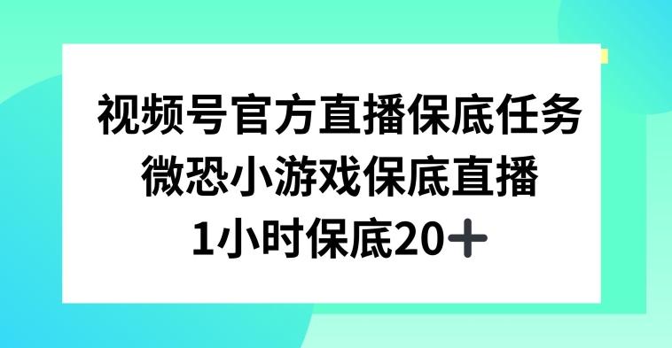 视频号直播任务，微恐小游戏，1小时20+【揭秘】-鑫梵淘