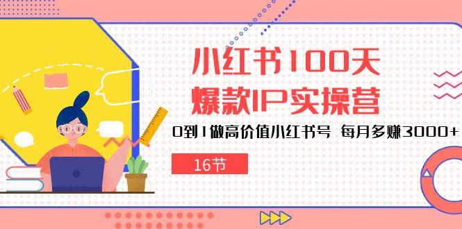 小红书100天-爆款IP实操营，0到1做高价值小红书号 每月多赚3000+(16节-鑫梵淘