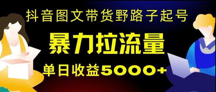 抖音图文带货暴力起号，单日收益5000+，野路子玩法，简单易上手，一部手机即可【揭秘】-鑫梵淘