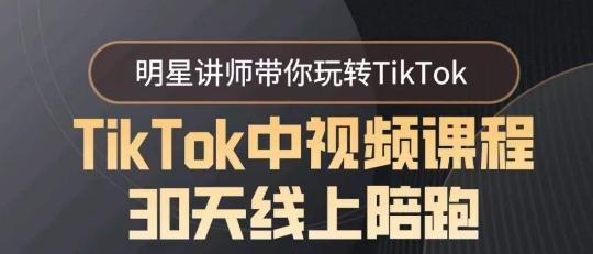 TikTok中视频课程30天线上陪跑，明星讲师带你玩转TikTok-鑫梵淘