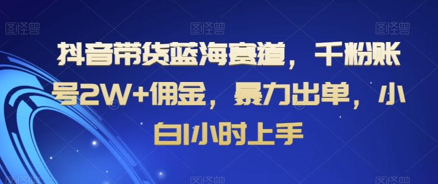 抖音带货蓝海赛道，千粉账号2W+佣金，暴力出单，小白1小时上手【揭秘】-鑫梵淘