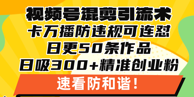 视频号混剪引流技术，500万播放引流17000创业粉，操作简单当天学会-鑫梵淘