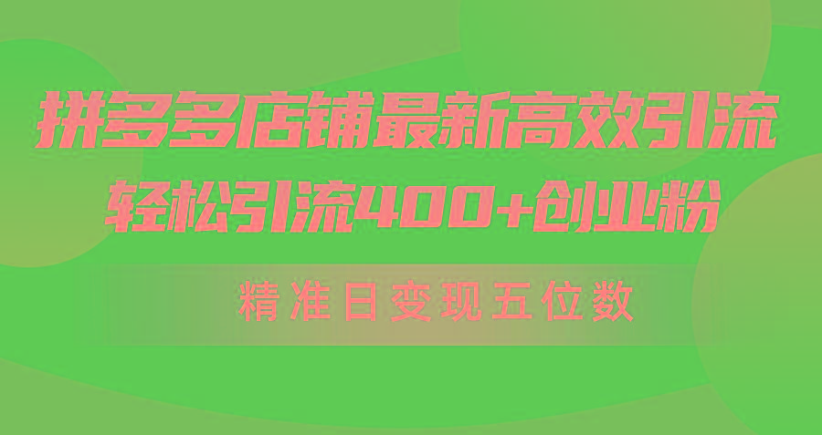 (10041期)拼多多店铺最新高效引流术，轻松引流400+创业粉，精准日变现五位数！-鑫梵淘