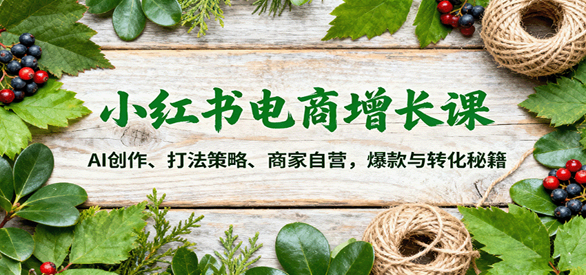 小红书电商增长课：AI创作、打法策略、商家自营，爆款与转化秘籍-鑫梵淘