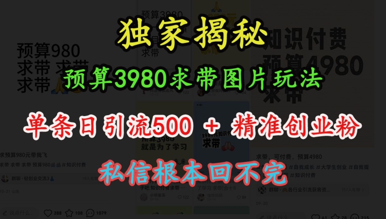 预算3980求带 图片玩法，单条日引流500+精准创业粉，私信根本回不完-鑫梵淘