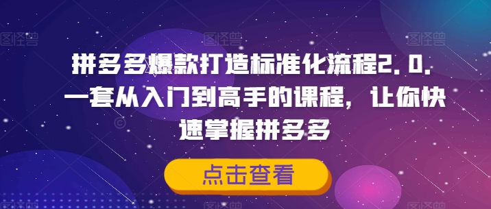 拼多多爆款打造标准化流程2.0，一套从入门到高手的课程，让你快速掌握拼多多-鑫梵淘