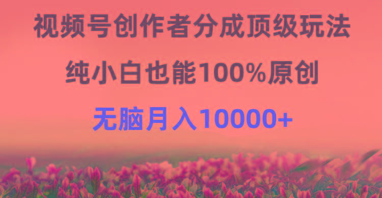 (9608期)视频号创作者分成顶级玩法，纯小白也能100%原创，无脑月入10000+-鑫梵淘