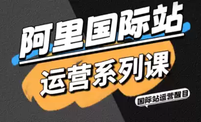 醒目老师·阿里国际站运营系列课(更新11月)-鑫梵淘