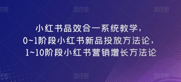 小红书品效合一系统教学，​0~1阶段小红书新品投放方法论，​1~10阶段小红书营销增长方法论-鑫梵淘