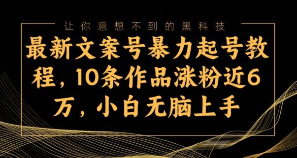 最新文案号暴力起号教程，10条作品涨粉近6万，小白无脑上手-鑫梵淘