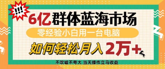6亿群体蓝海市场，零经验小白用一台电脑，如何轻松月入过w【揭秘】-鑫梵淘