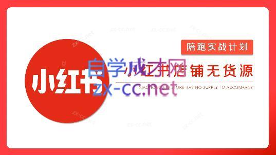 安琪·小红书店铺无货源-鑫梵淘