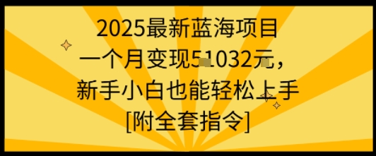 2025最新蓝海项目一个月变现1w+新手小白也能轻松上手【附全套指令】-鑫梵淘