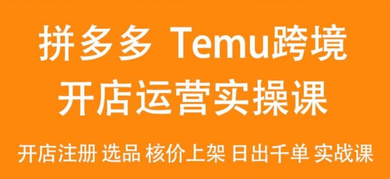 2024Temu最新玩法，Temu跨境开店运营实操课，开店注册/选品/核价上架/日出千单实战课-鑫梵淘