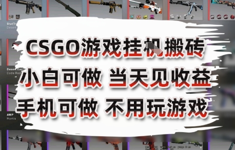 CSGO游戏挂G搬砖，小白纯手机即可操作，不用电脑打游戏，日入3张+，副业网创项目【揭秘】-鑫梵淘