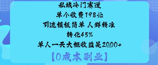 私域冷门赛道:单个收费198米引流模板简单人群精准转化45%单人一天大概收益是1k+-鑫梵淘