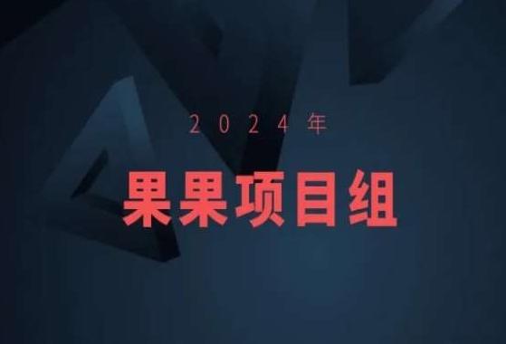 2024年果果项目组项目合集-果果最新项目-鑫梵淘
