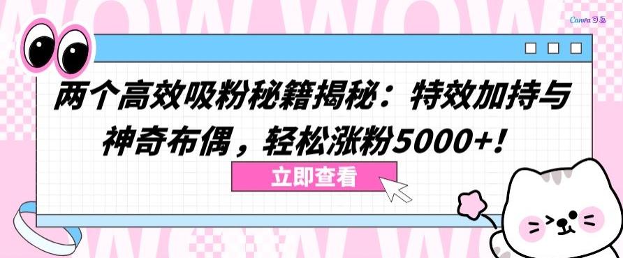 两个高效吸粉秘籍揭秘：特效加持与神奇布偶，轻松涨粉5000+【揭秘】-鑫梵淘