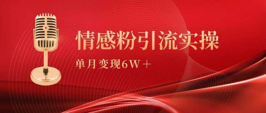 (9473期)单月变现6w+，情感粉引流变现实操课-鑫梵淘