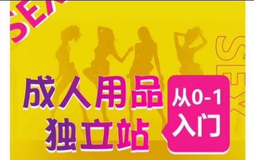 成人用品独立站从0-1入门，成品独立站运营全流程教学，七大好卖成品独立站推荐-鑫梵淘