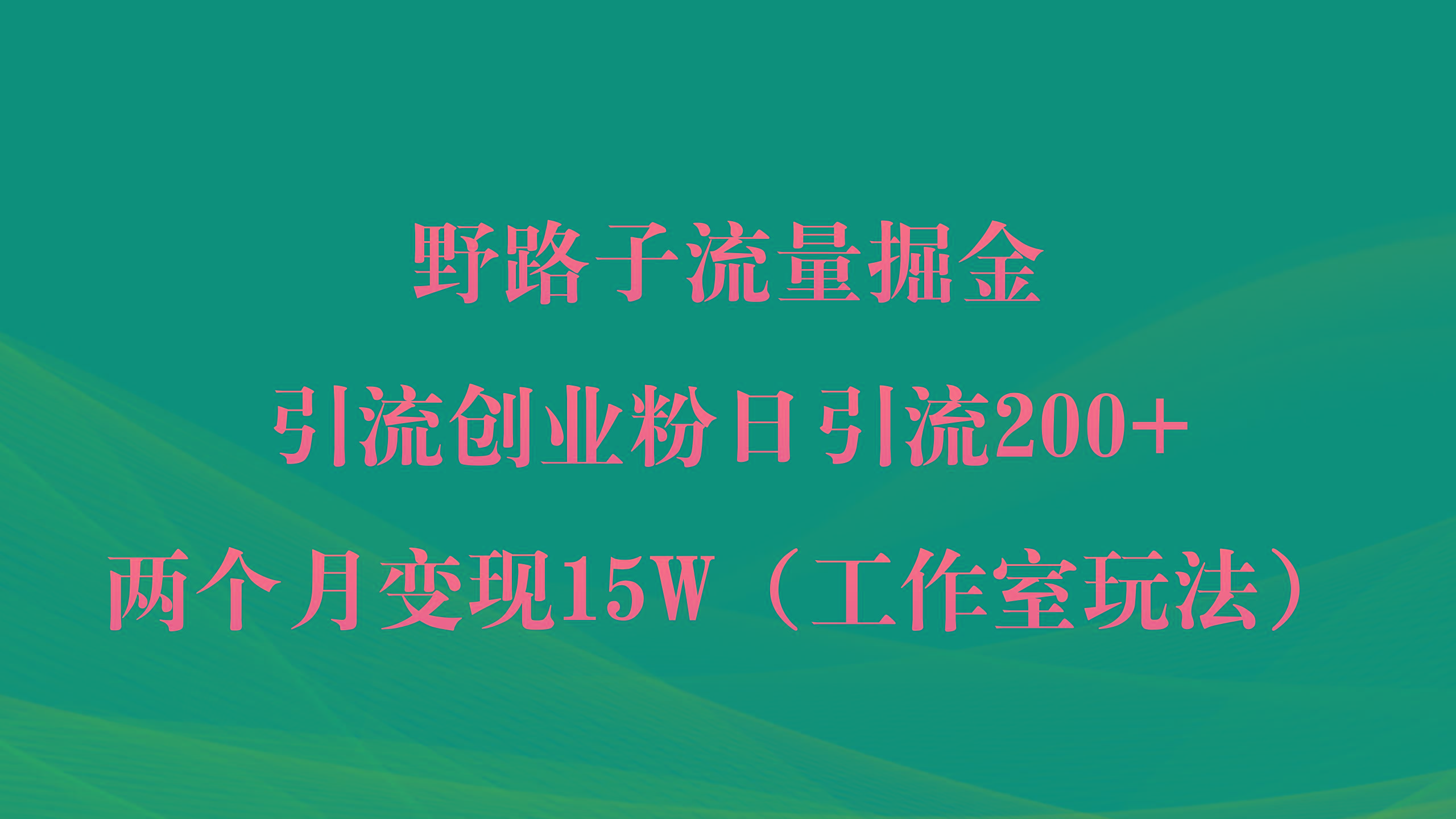 (9513期)野路子流量掘金，引流创业粉日引流200+，两个月变现15W(工作室玩法))-鑫梵淘